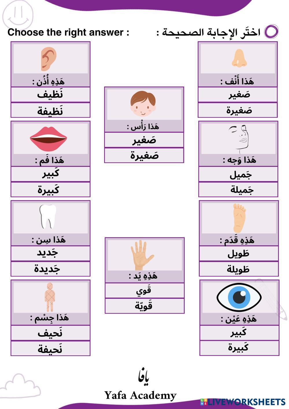 Human body’s adjectives